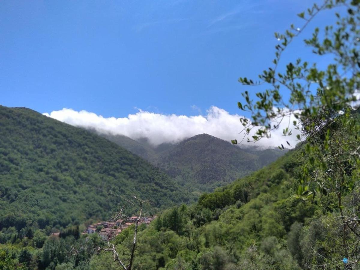 La Cantina Del Sole Riccò del Golfo di Spezia Exteriör bild